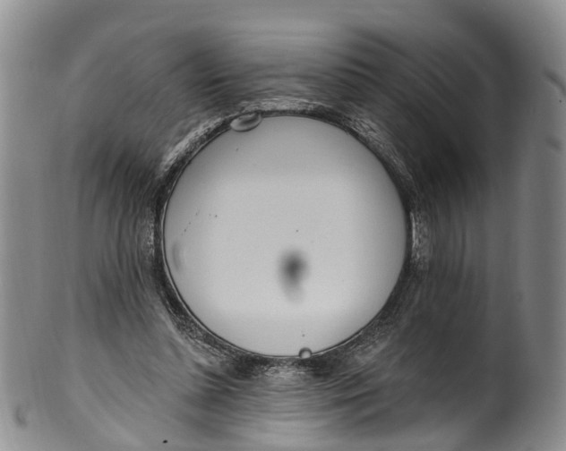 X0000100500348200806271304