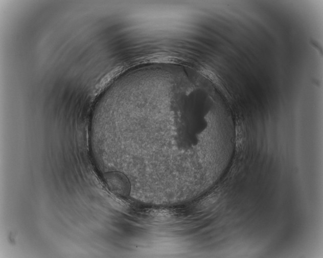 X0000100500349200806271304