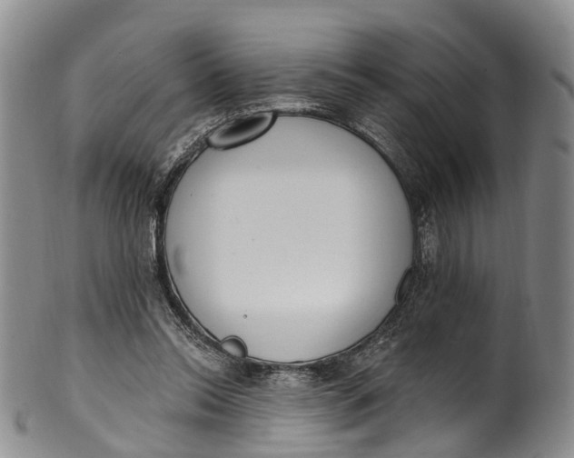 X0000100500350200806271304