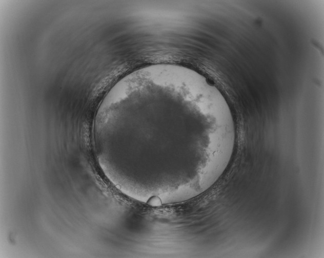 X0000100500353200806271304