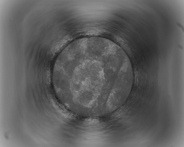 X0000100500354200806271304