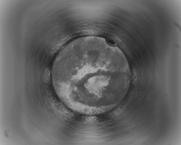 X0000100500355200806271304