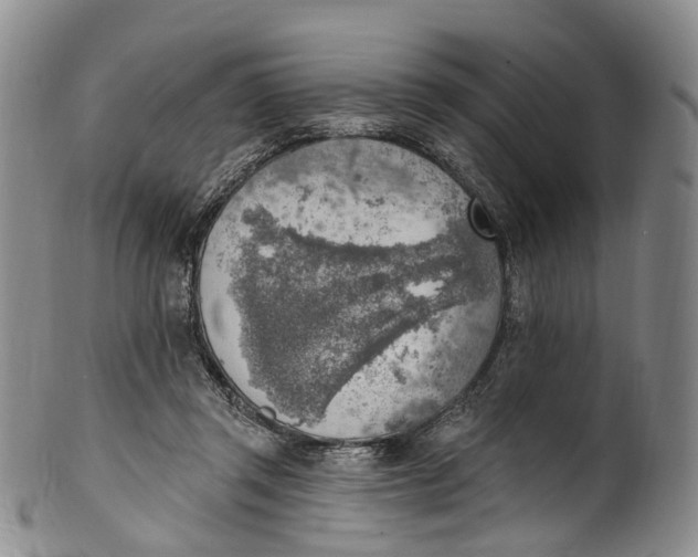 X0000100500357200806271304