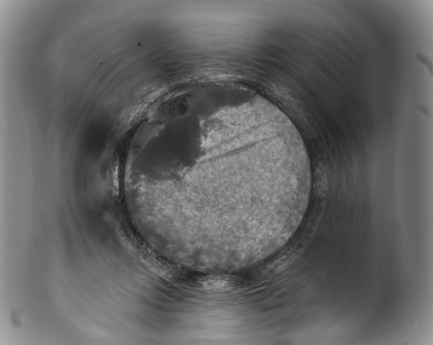 X0000100500358200806271304