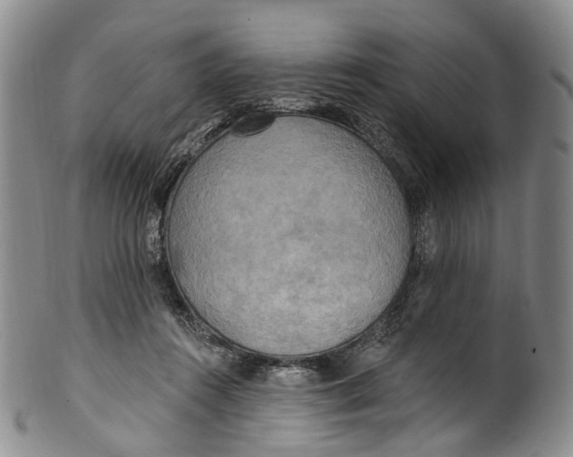 X0000100500360200806271304