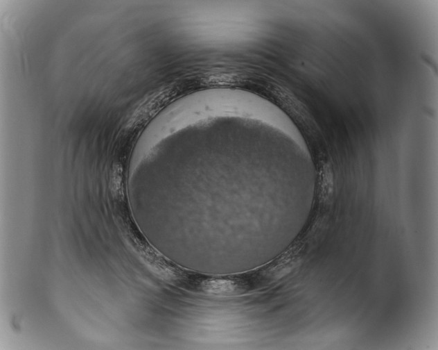 X0000100500361200806271304