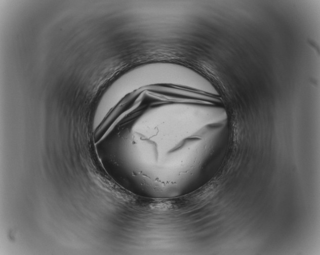 X0000100500362200806271304