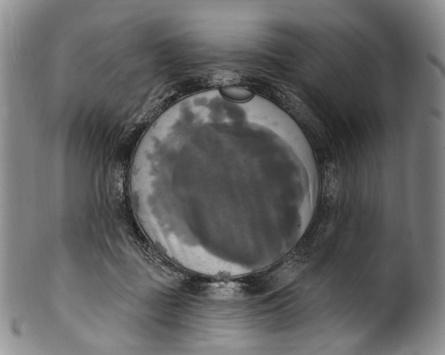 X0000100500363200806271304