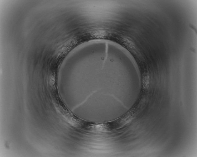 X0000100500365200806271304