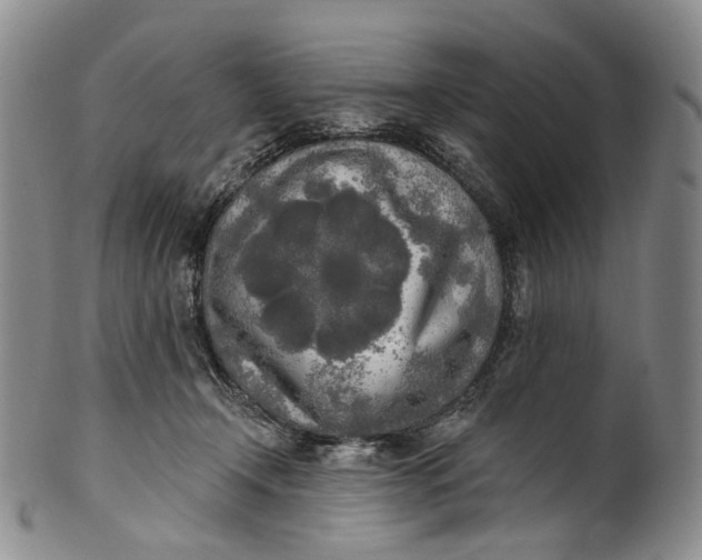 X0000100500366200806271304