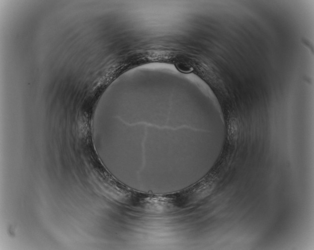 X0000100500367200806271304