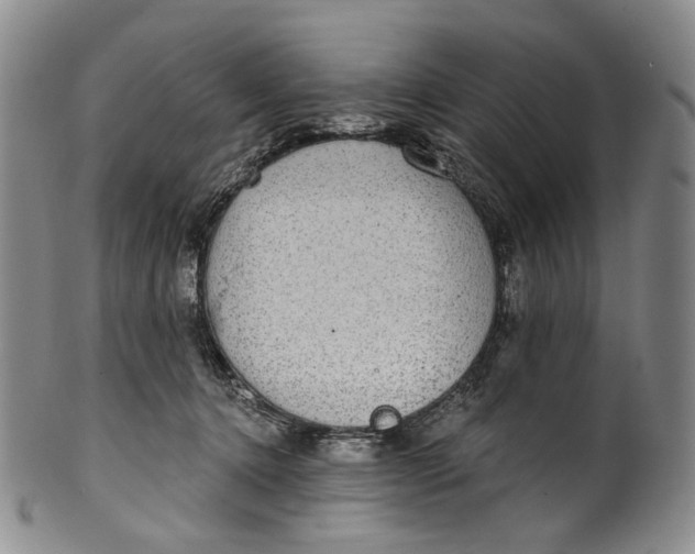 X0000100500368200806271304