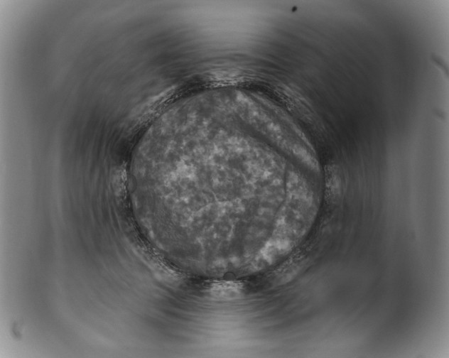 X0000100500369200806271304