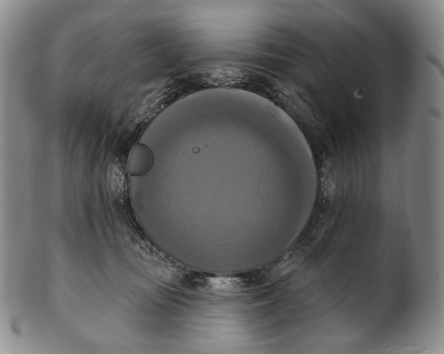 X0000100500371200806271304