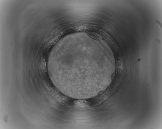 X0000100500372200806271304