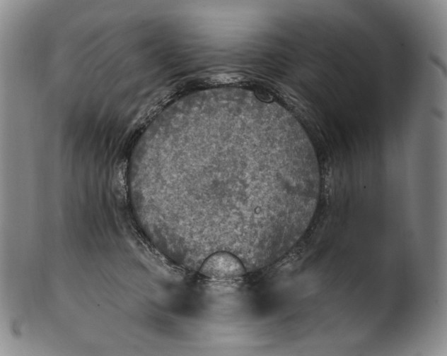 X0000100500373200806271304