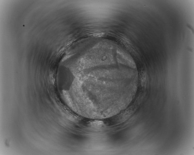 X0000100500374200806271304