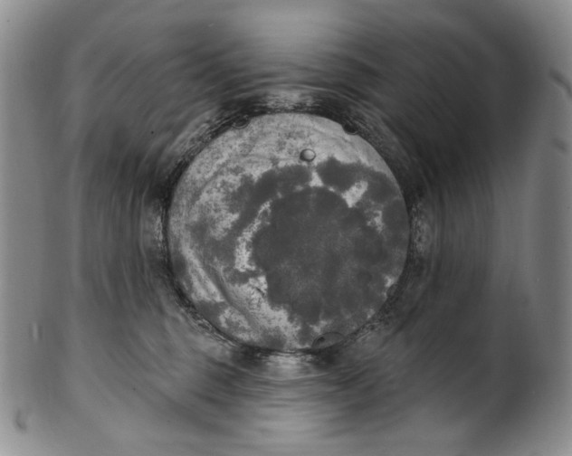 X0000100500375200806271304