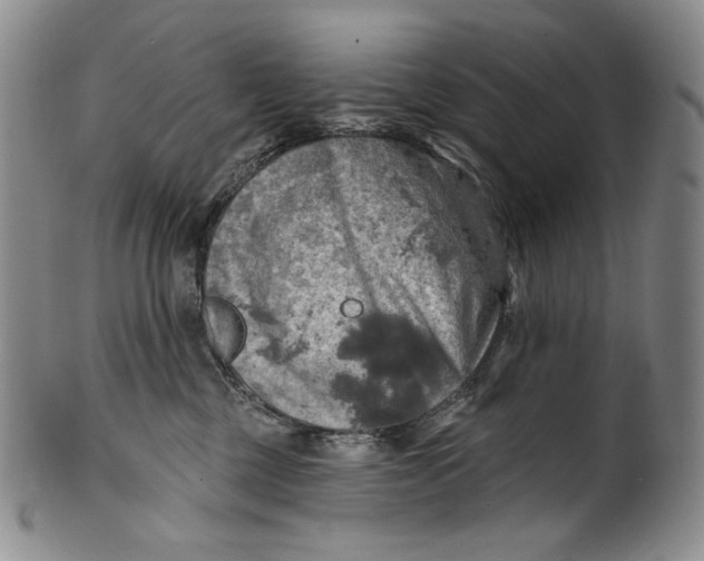 X0000100500377200806271304