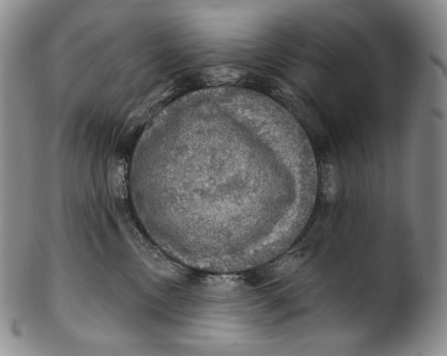 X0000100500378200806271304