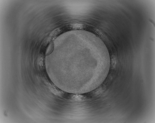 X0000100500379200806271304