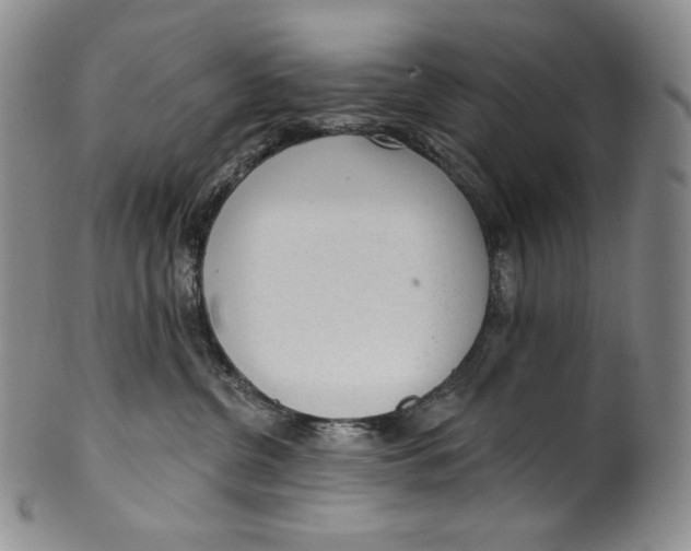 X0000100500380200806271304