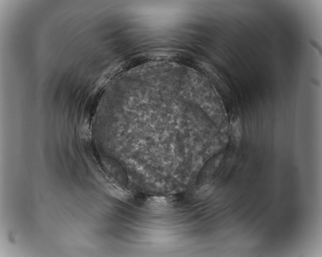 X0000100500381200806271304