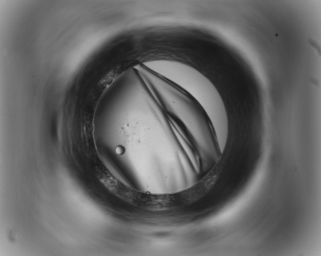 X0000100500382200806271304