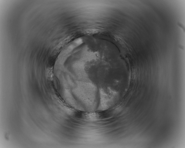 X0000100500383200806271304