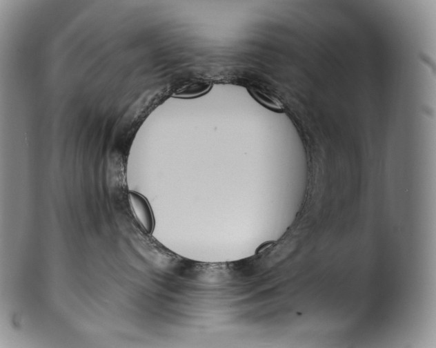 X0000100500384200806271304