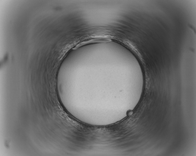 X0000100500385200806271304