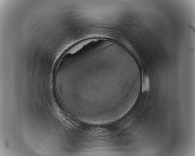 X0000100500387200806271304