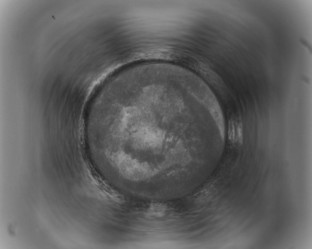 X0000100500388200806271304