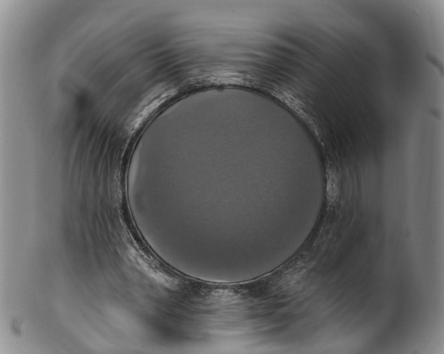 X0000100500390200806271304