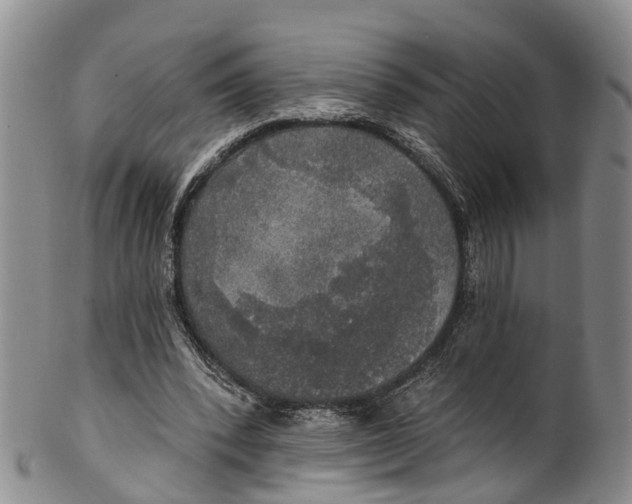 X0000100500392200806271304