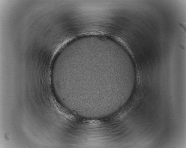 X0000100500395200806271303