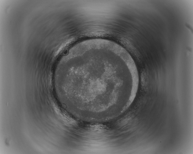 X0000100500396200806271303