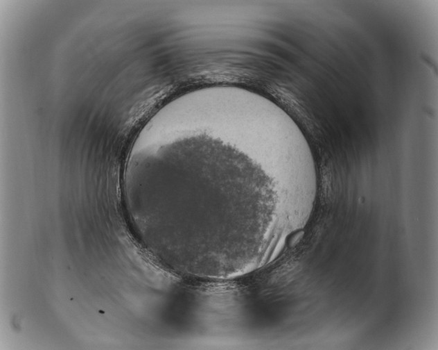 X0000100500398200806271303