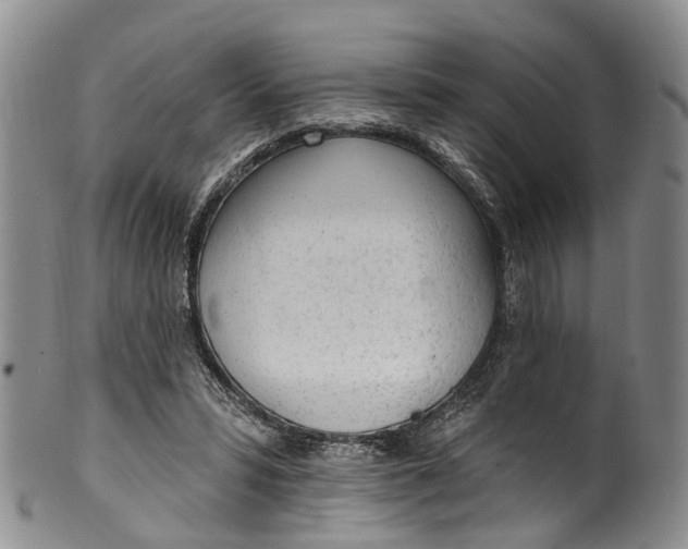 X0000100500399200806271303