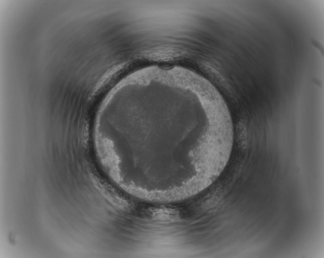 X0000100500400200806271303