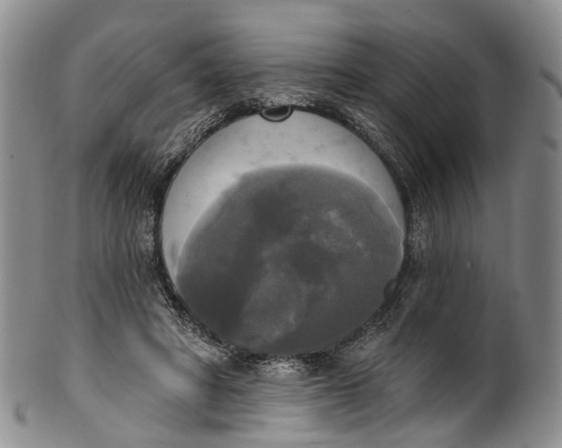 X0000100500402200806271303