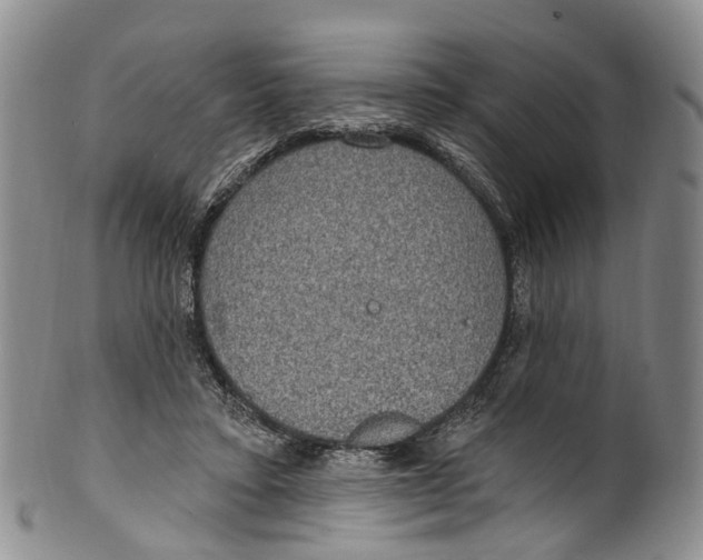 X0000100500403200806271303