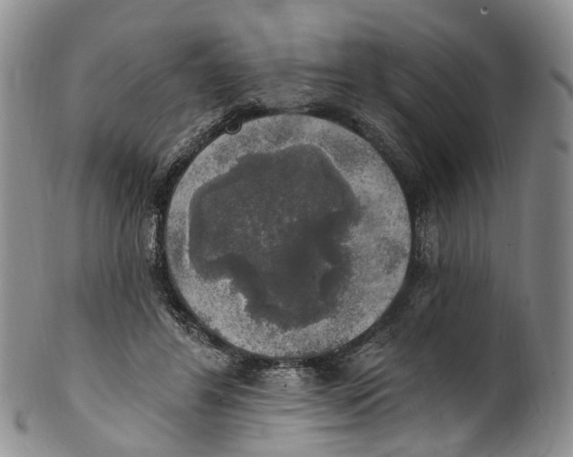 X0000100500404200806271303