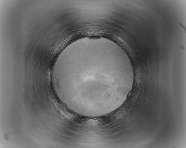 X0000100500405200806271303