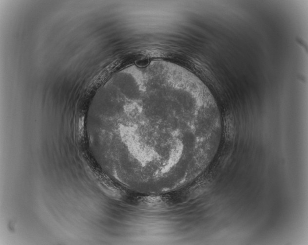 X0000100500406200806271303