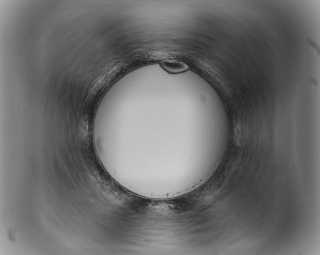 X0000100500407200806271303