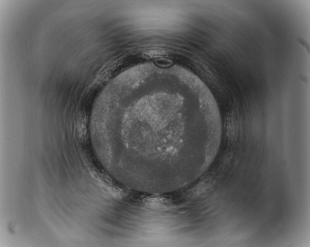 X0000100500408200806271303