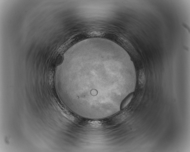 X0000100500409200806271303