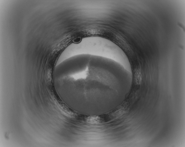 X0000100500410200806271303