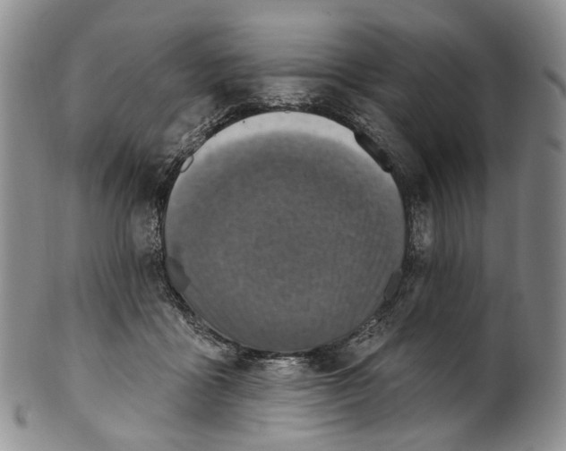 X0000100500411200806271303